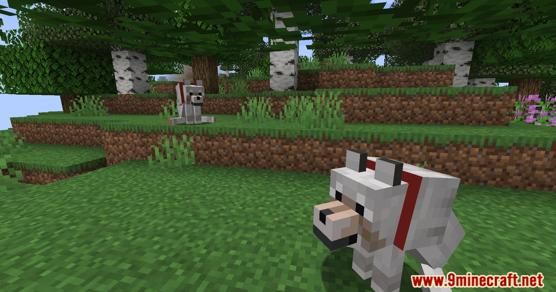 description_2 All Bark, All Bite Mod - Познакомьтесь с новыми собаками-компаньонами в Minecraft с all Bark, all Bite.
