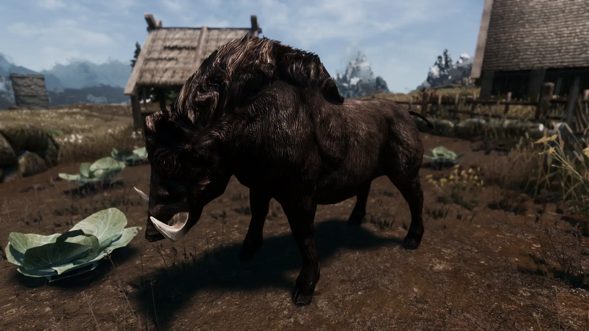 description_0 1к-2к-4к щетиноспины / Based Boar 4K