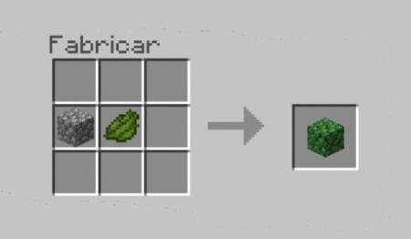 description_1 Objetos de cactus y turbas.