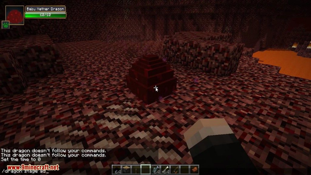 description_5 Dragon Mounts Mod (1.12.2) - ride dragons and tame them