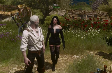 description_7 Improved Yennefer.