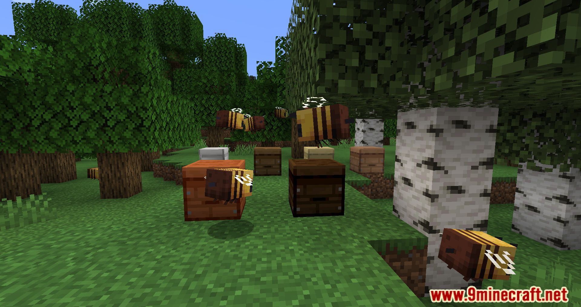 description_9 Bee Better Mod 1.18.2 - ряд новых функций, связанных с пчелами
