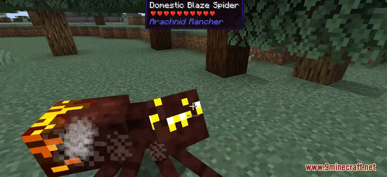 description_10 Arachnid Rancher Mod 1.19.2 - As mais bonitas aranhas domésticas inofensivas