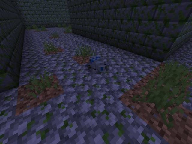 description_3 Существа и предметы из «Бегущий в лабиринте».