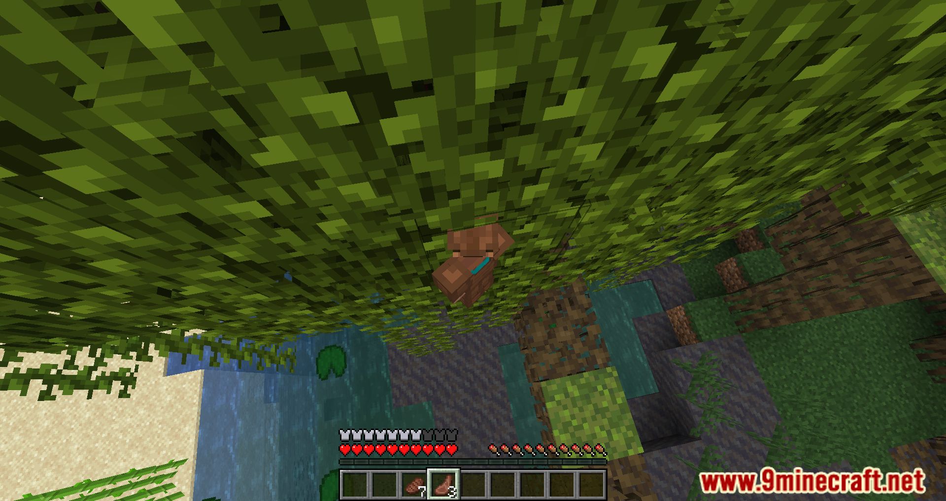 Imagen 22 para Animal Origins Mod (1.20.6) - ¡conviértete en un animal!