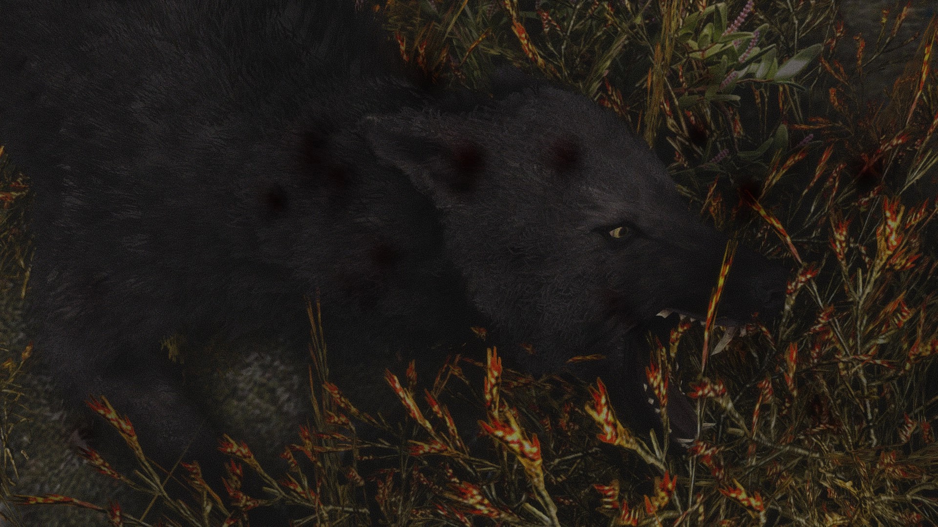 description_6 Real Fur for Wolves