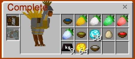 descripción_3 Chocobo.