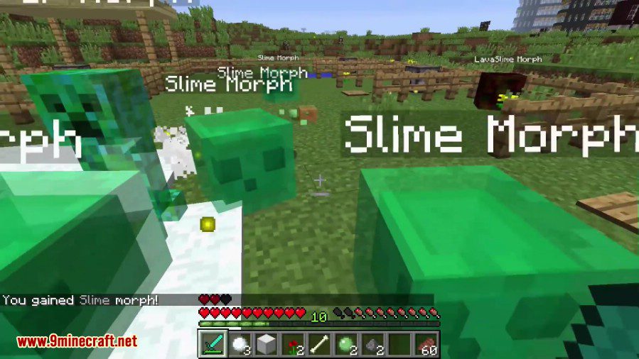 description_11 Мод MetaMorph (1.12.2) - превращает в ванильного моба.