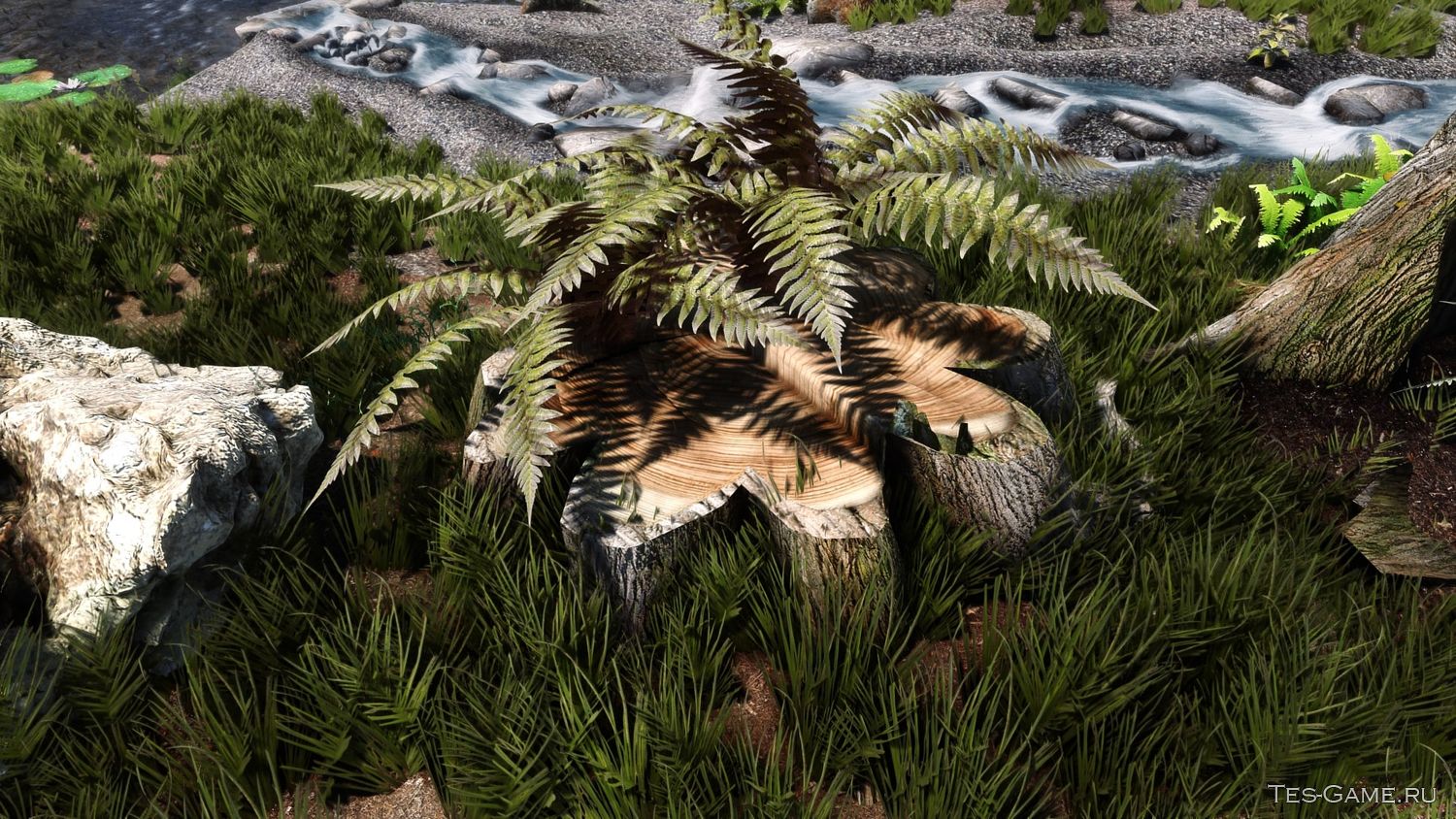 description_3 High-quality retexture of stumps