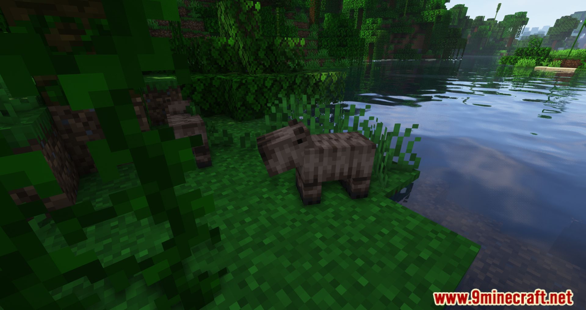 description_7 TechSupportRed's Capybara Mod 1.20.2 - New jungle creature, capybara!