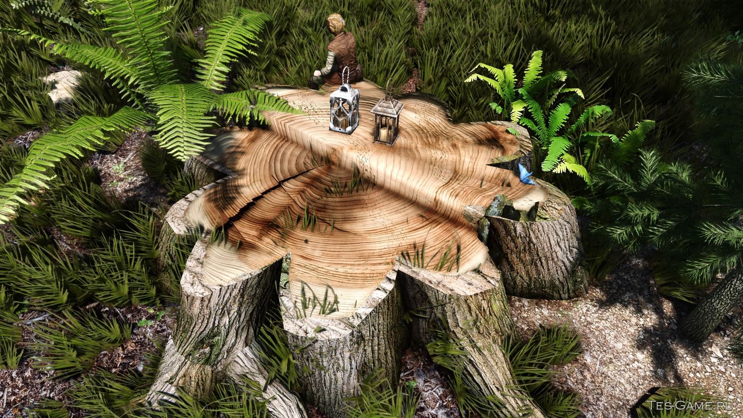 description_4 High-quality retexture of stumps
