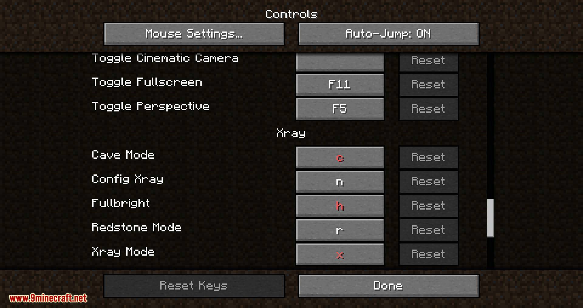 description_0 Mod XRay from ATE48 (1.19.2) Fabric version - no more diamonds.