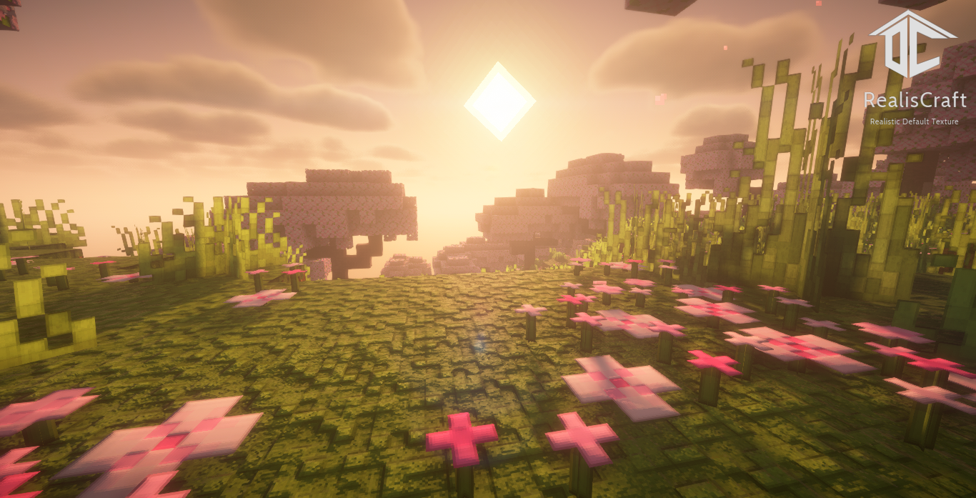 description_1 RealisCraft JE: Realistic Default for Minecraft