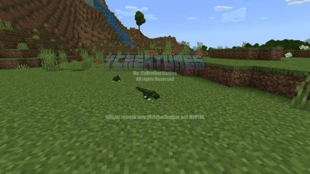 description_10 Больше животных.