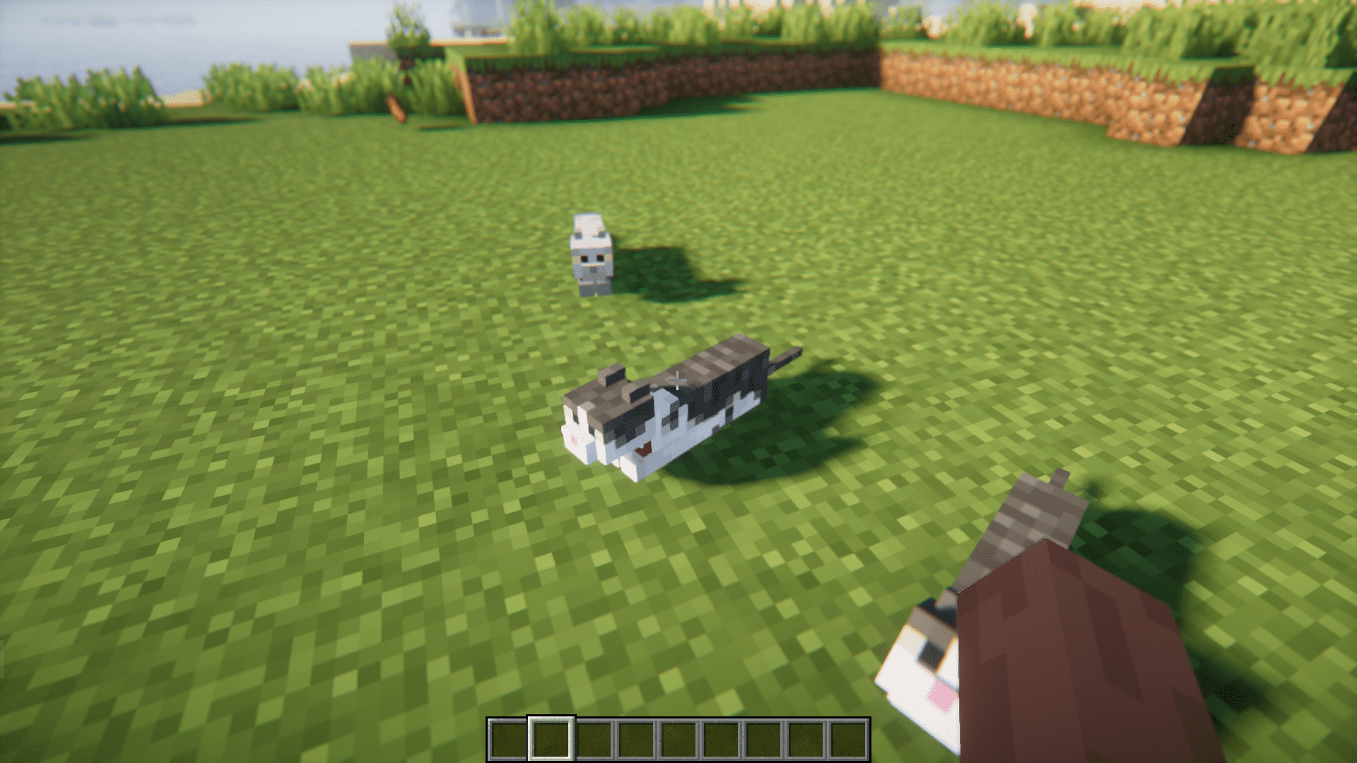 image 6 for Cat Loaf Mod (1.20.4) - domestic cat wrapped in a loaf