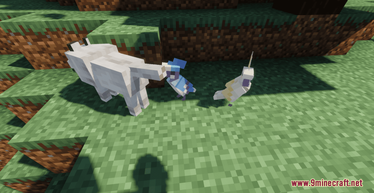 description_7 Aesthetic Birds Resource Pack (1.19.4, 1.19.2, 1.19) - texture pack