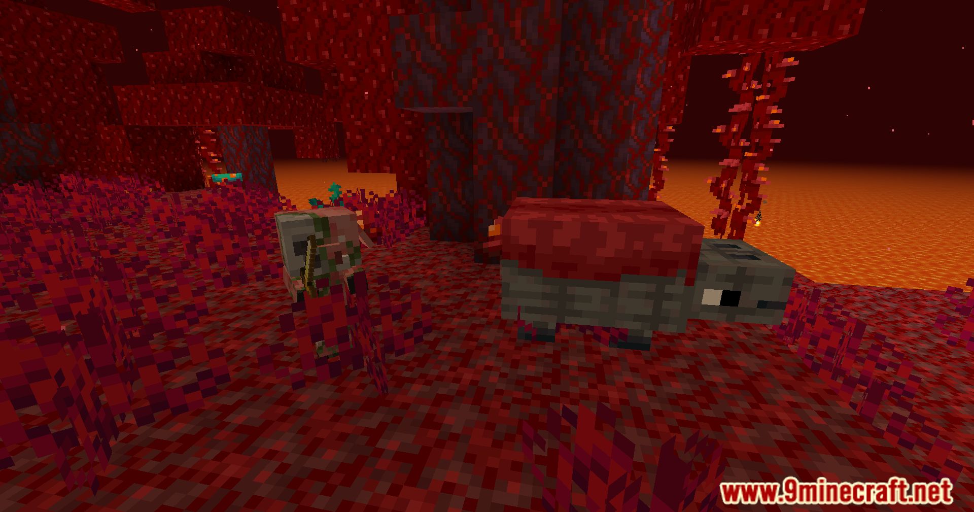 description_0 Мод Nether overhaul - высвободите существ.