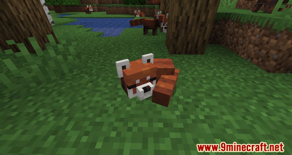 description_10 Módulo de remodelación de criaturas 1.20.1 - Nueva vida silvestre