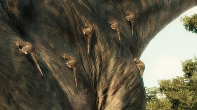  image 6 for