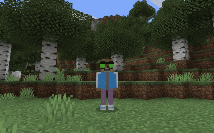 image 12 for Conjunto de vestuario para el espectáculo regular (1.19) - MCPE/Bedrock