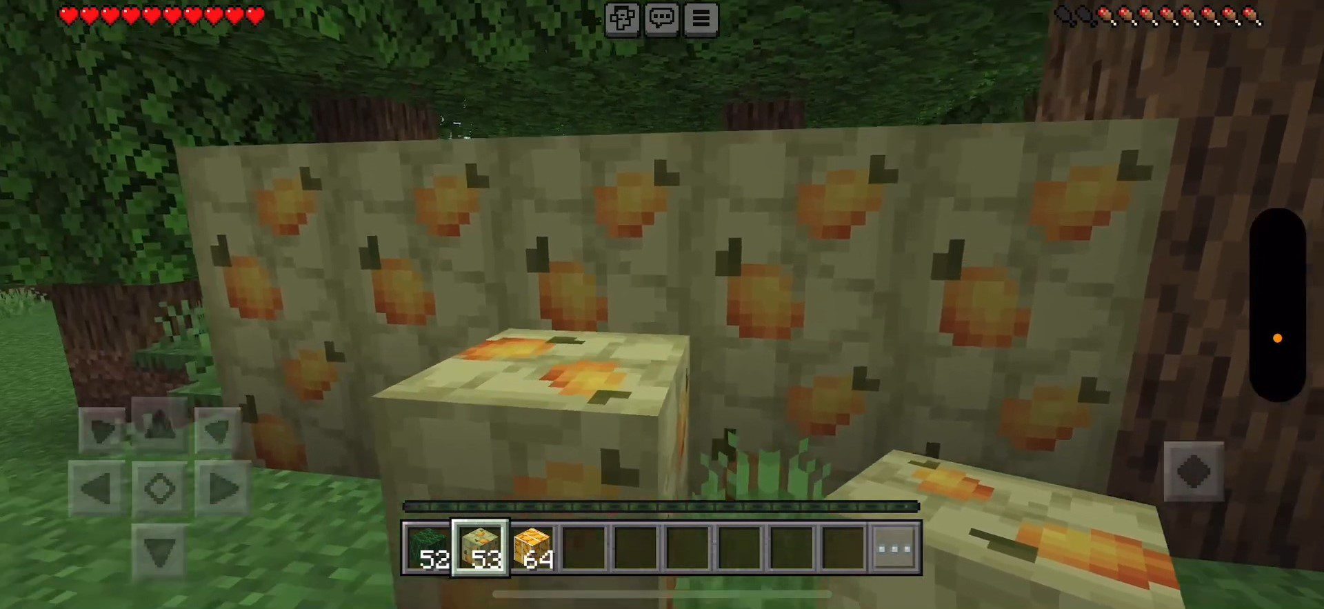 image 5 for Дополнение для украшения обоев (1.20) - MCPE/Bedrock Mod