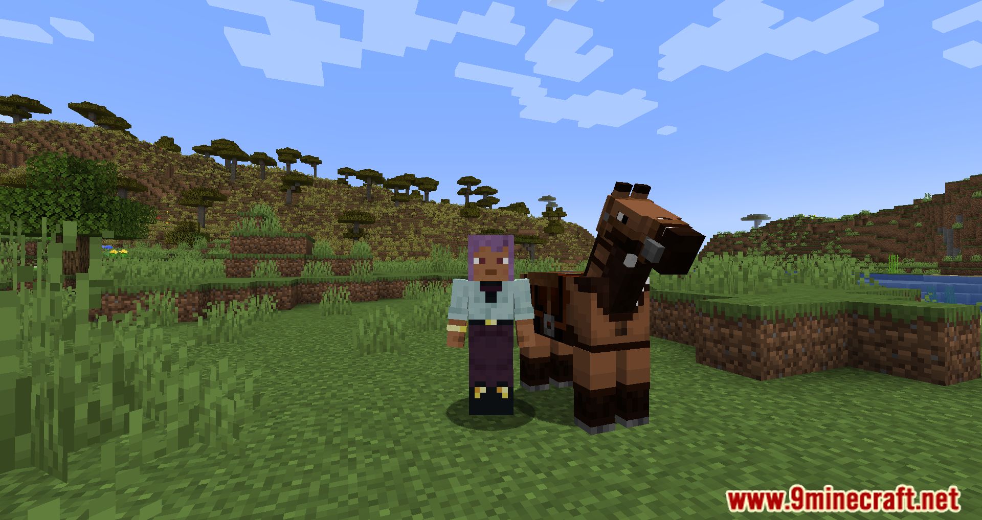 Imagen 6 para Horse Buff Mod (1.20.4) - ¡Mejor juego de caballos!