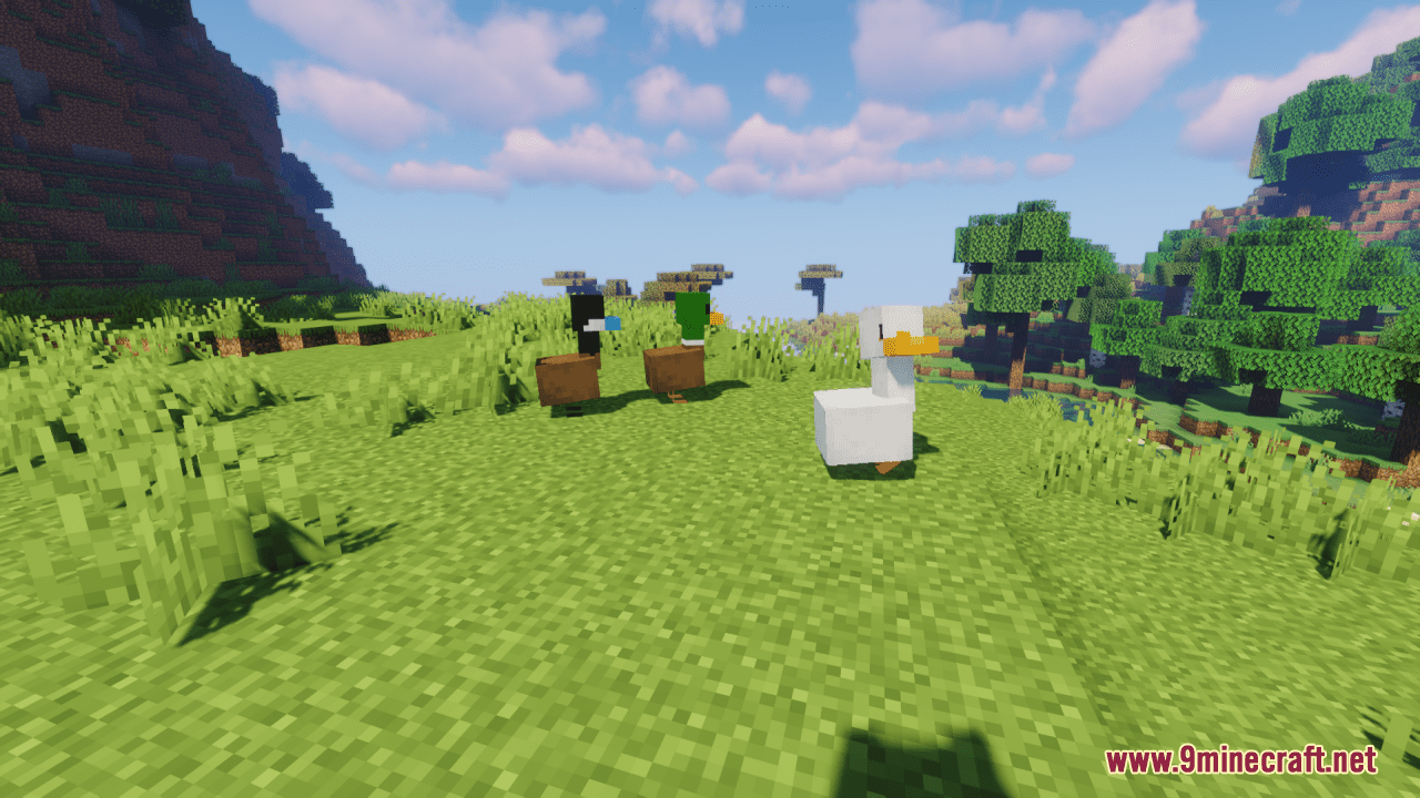 description_11 Ducks Resource Pack (1.19.4, 1.19.2) - набор текстур