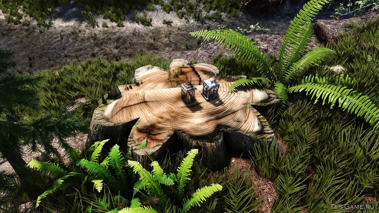description_1 High-quality retexture of stumps