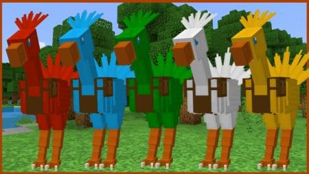 descripción_0 Chocobo.