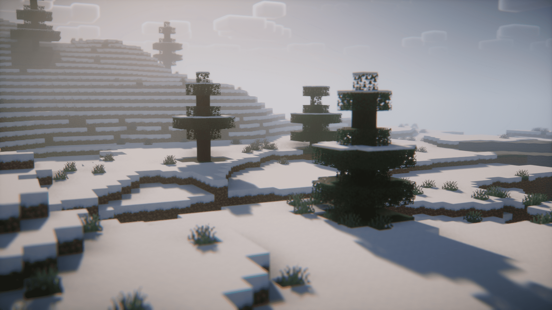 description_3 Мод FPS Increaser (1.20.1)