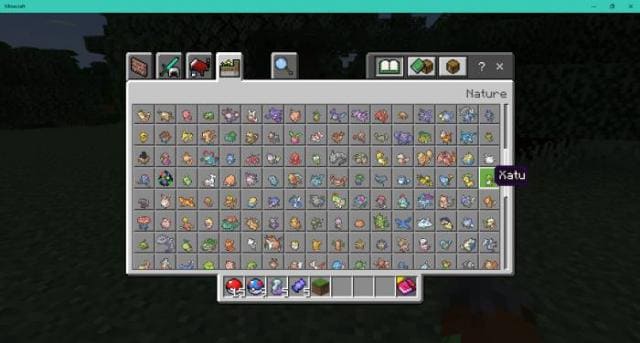 description_22 Pokébedrock
