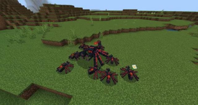 description_11 Expansion of survival.