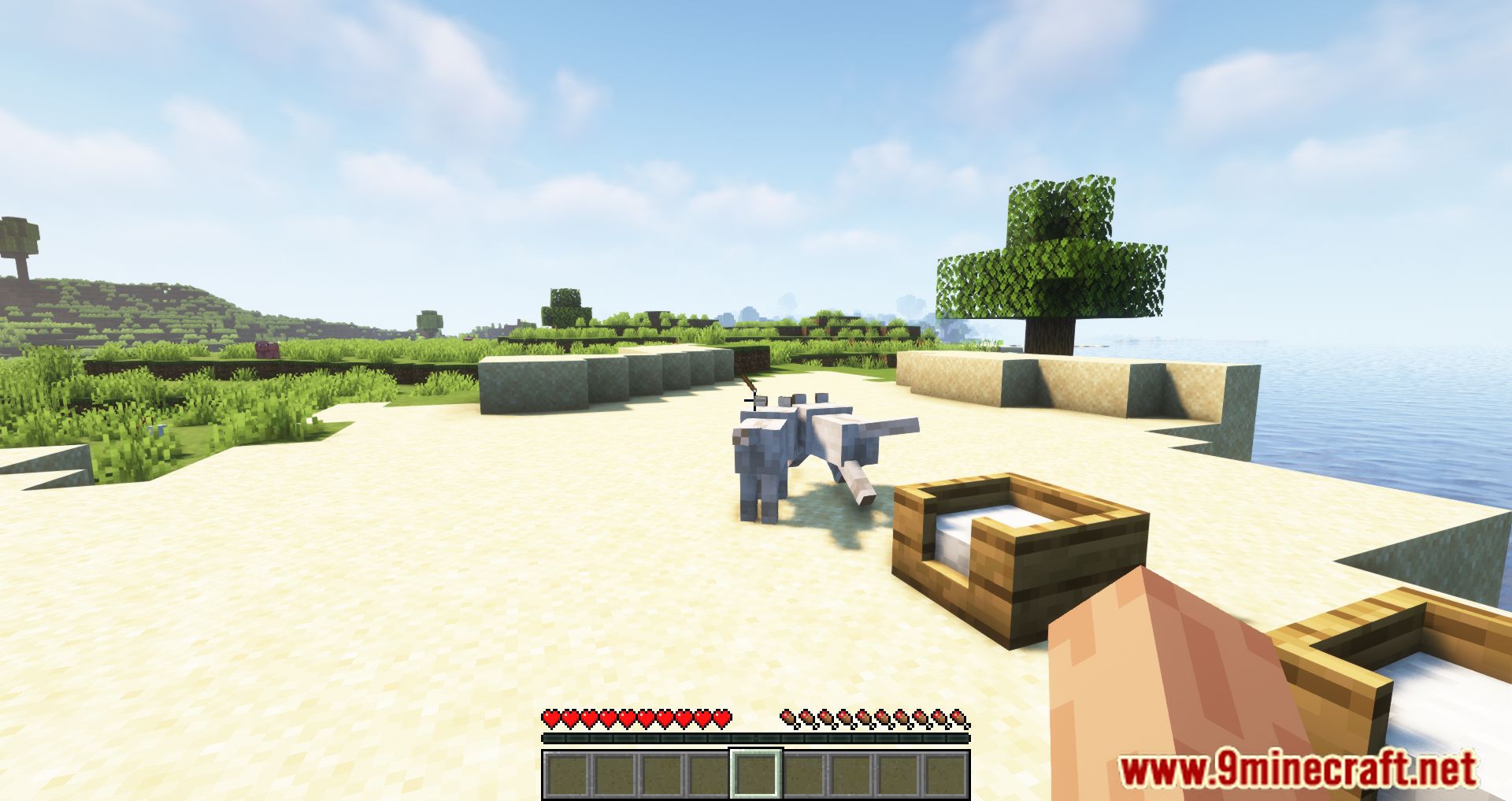 description_1 Doggy Talents Next Mod 1.20.1 - You can train your dog.
