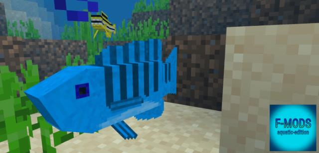 description_1 Exotic fish.