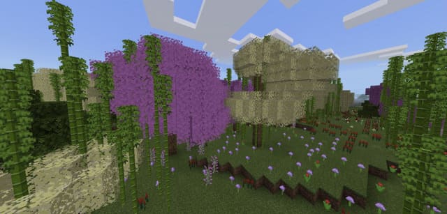 description_4 Diversity of biomes.