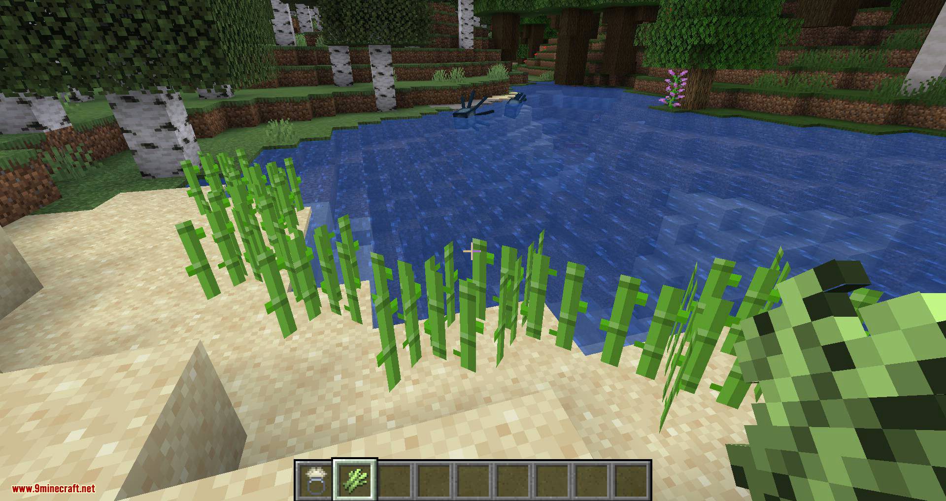 image 11 for Growth Ring Mode (1.20.5) - accelerated growth.