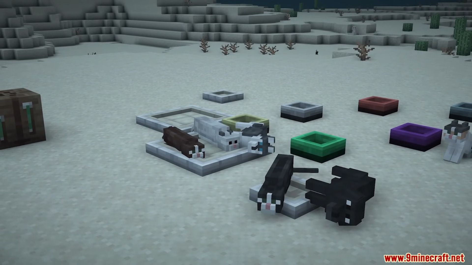 description_8 Pet Shop Mod (1.20.1) - interactive pets and items for them