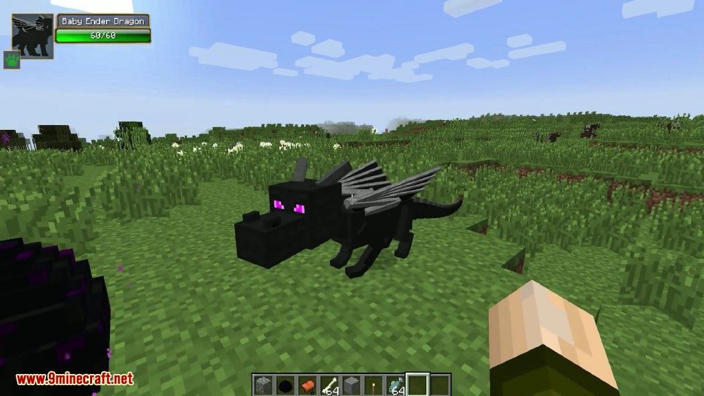 description_7 Dragon Mounts Mod (1.12.2) - ride dragons and tame them