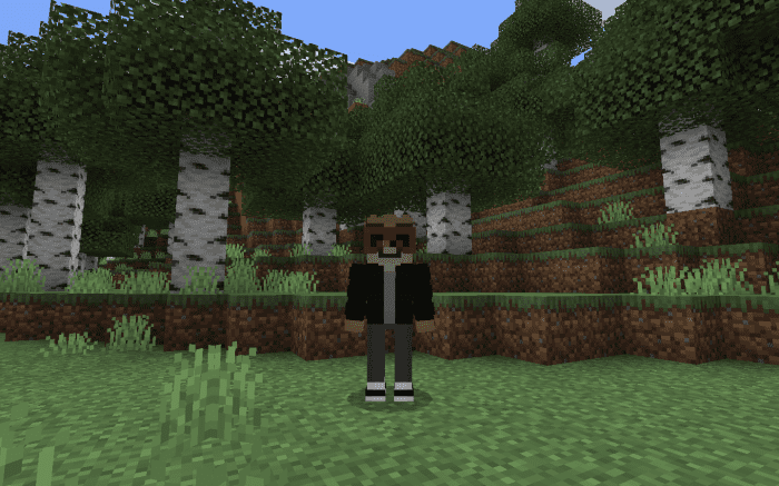 image 13 for Conjunto de vestuario para el espectáculo regular (1.19) - MCPE/Bedrock