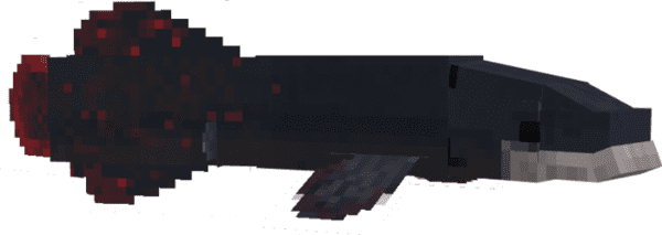 description_3 Чудеса амазонки.