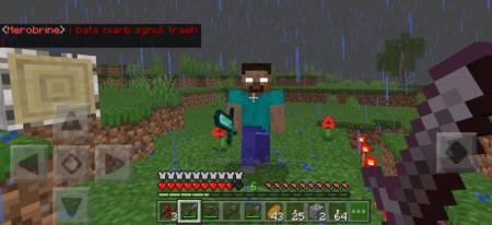 description_21 Herobrine.