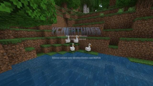 description_16 Больше животных.