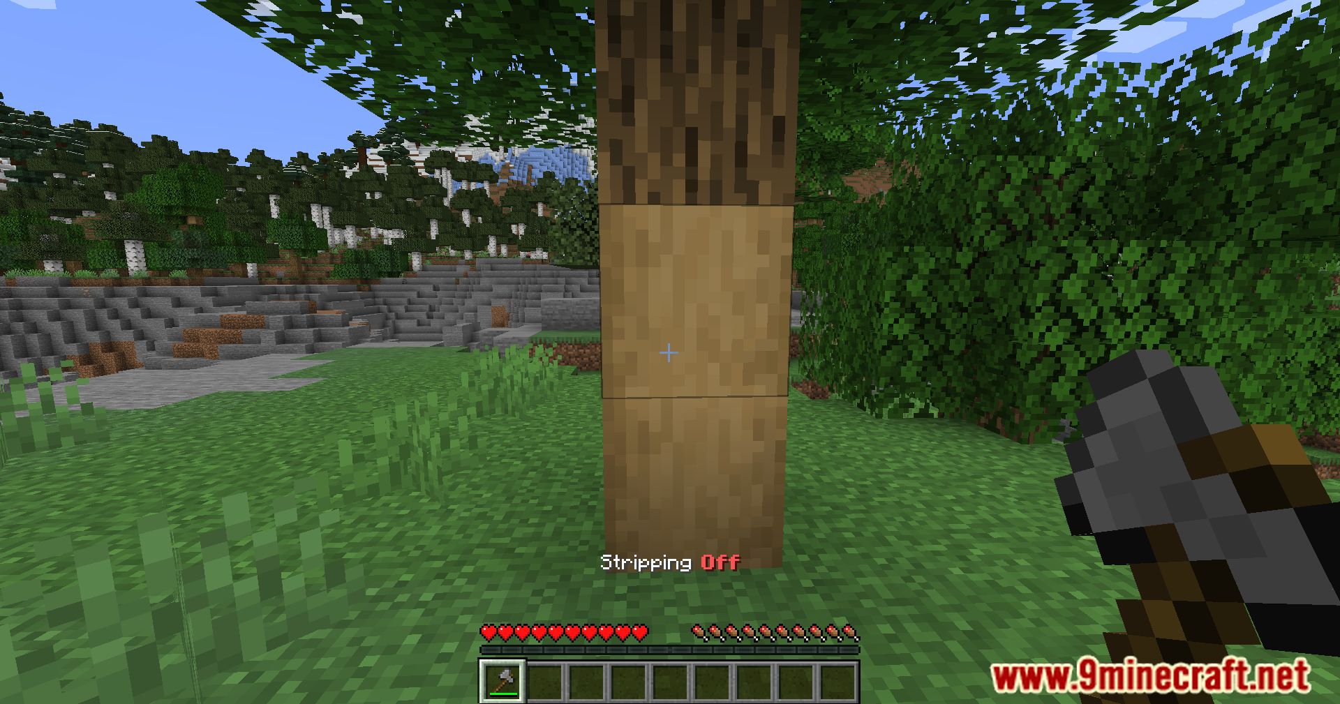 image 3 for No Strip Mod (1.20.4) - Обеспечивает естественный вид