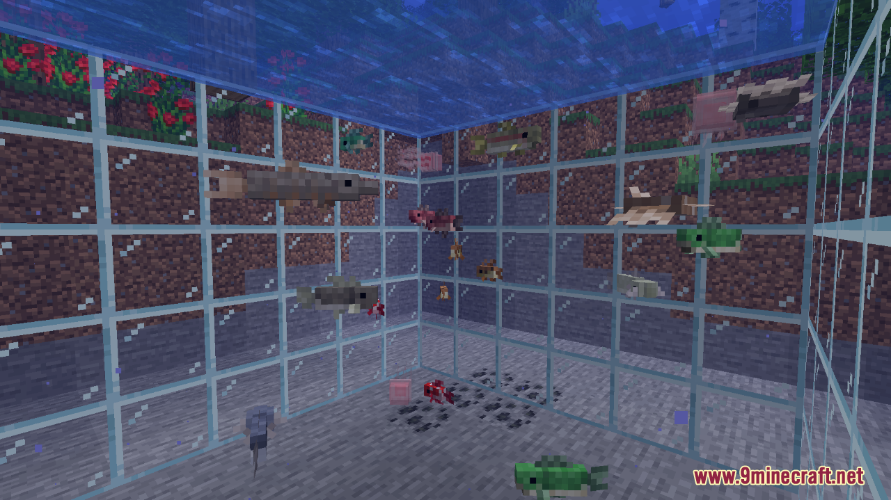 description_12 Aquicultura 2 Mod - várias criaturas subaquáticas