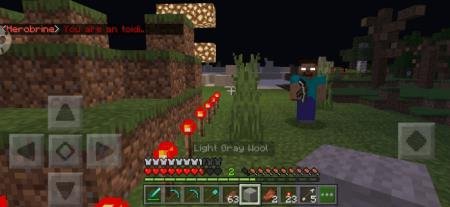 description_29 Herobrine.