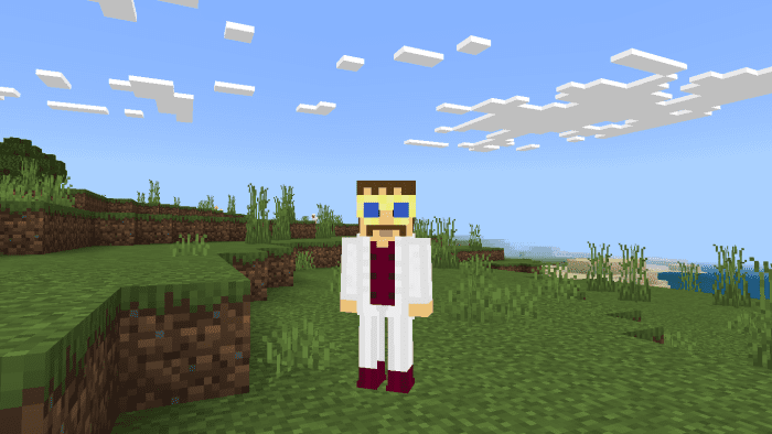 image 5 for Juego de vestuario para el espectáculo regular (1.19) - MCPE/Bedrock