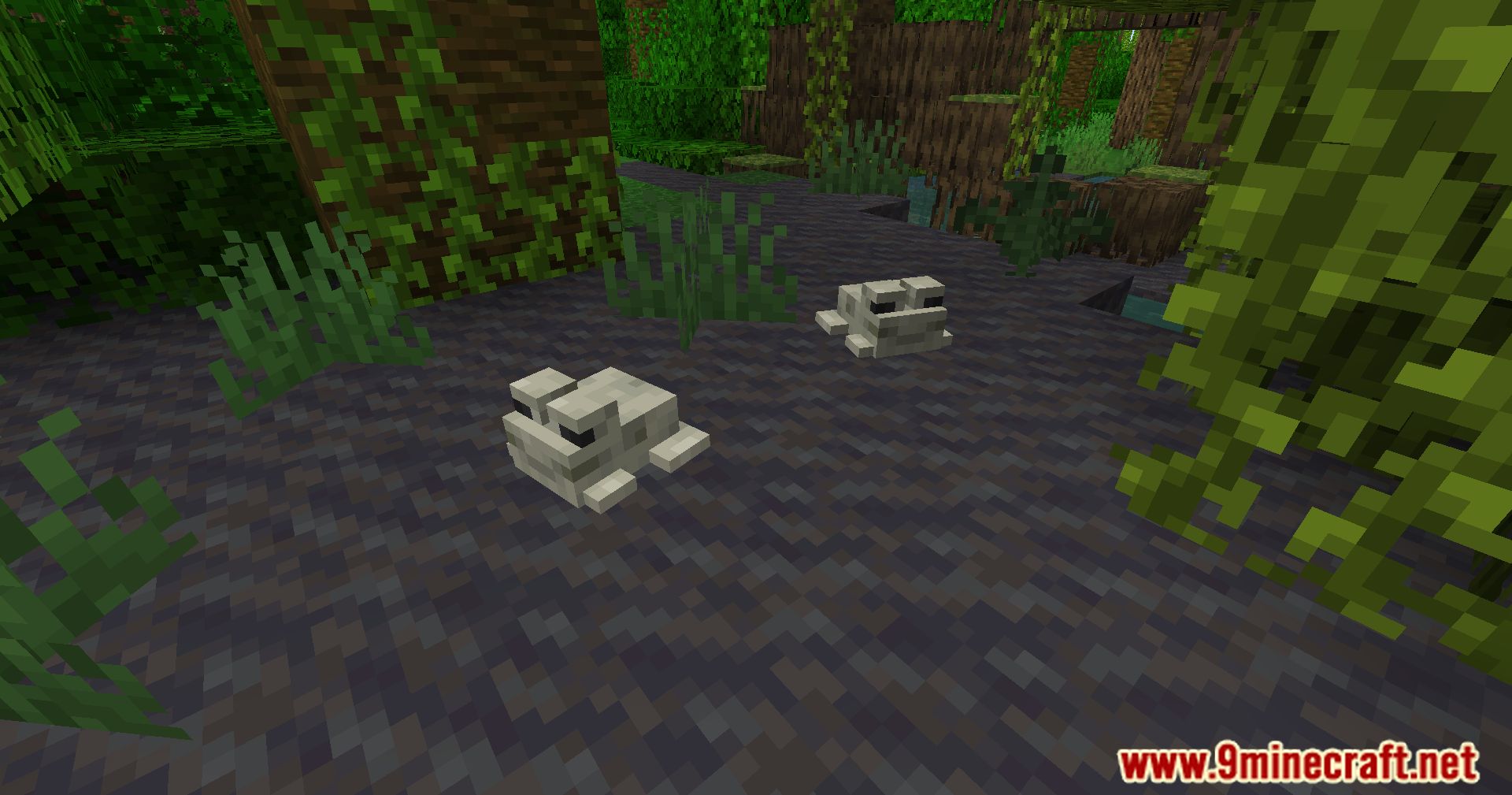 description_2 Frog Legs Mod (1.20.4) - Plunge into a new culinary adventure!