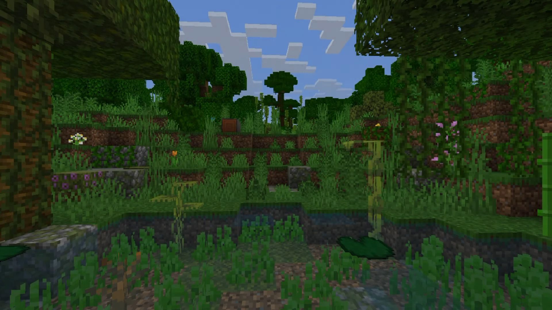 image 1 for