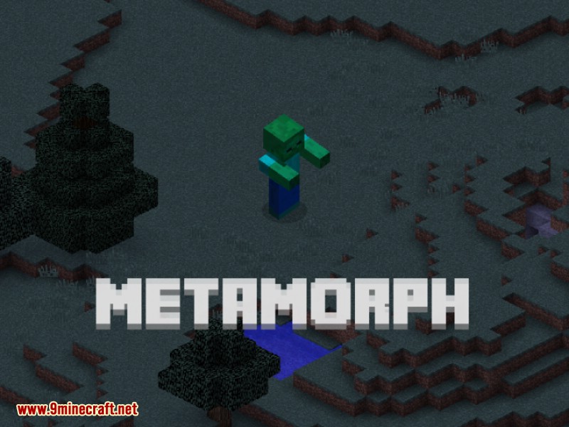 description_0 Мод MetaMorph (1.12.2) - превращает в ванильного моба.