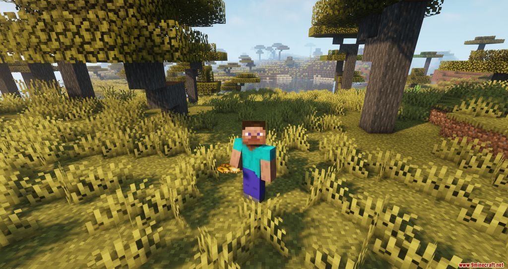 image 9 for Bag of Holding Mode (1.20.4) - aumentó el número de ranuras en las que puede almacenar elementos.